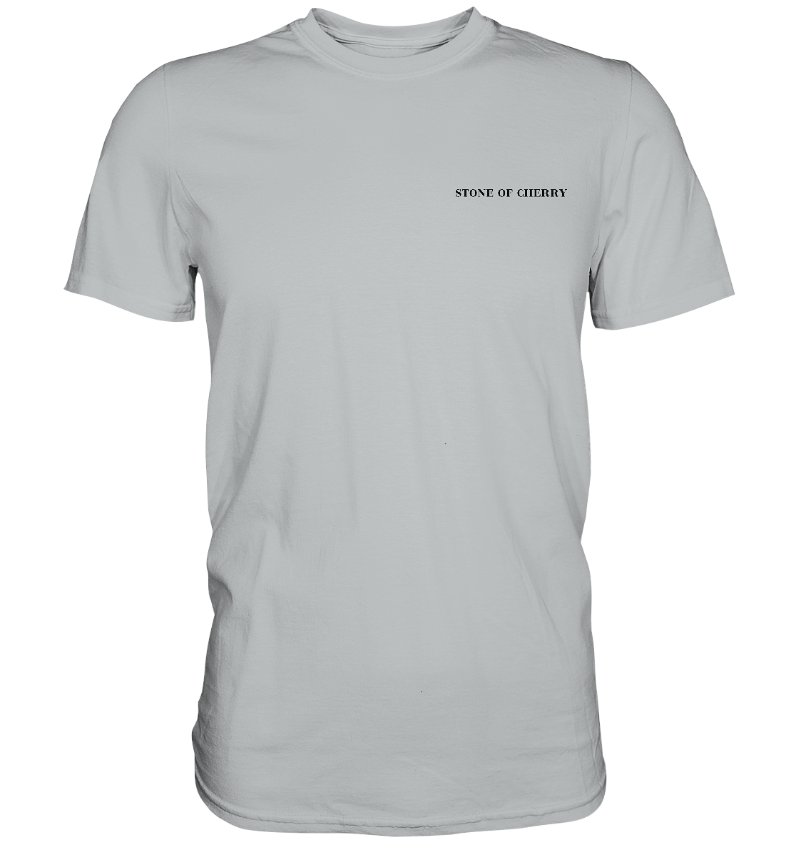 PREMIUM T-SHIRT SPECIAL  - Premium Shirt
