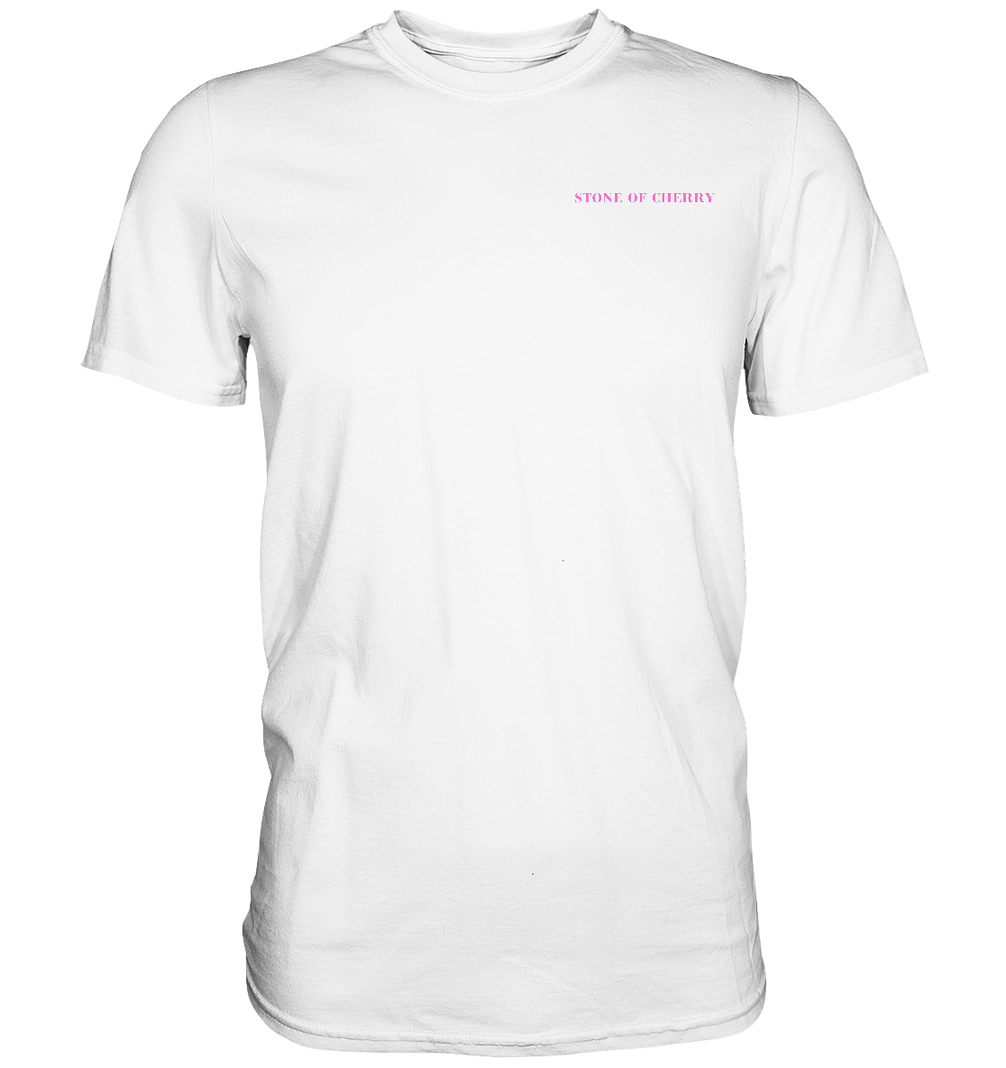 PREMIUM T-SHIRT STREETWEAR SPECIAL