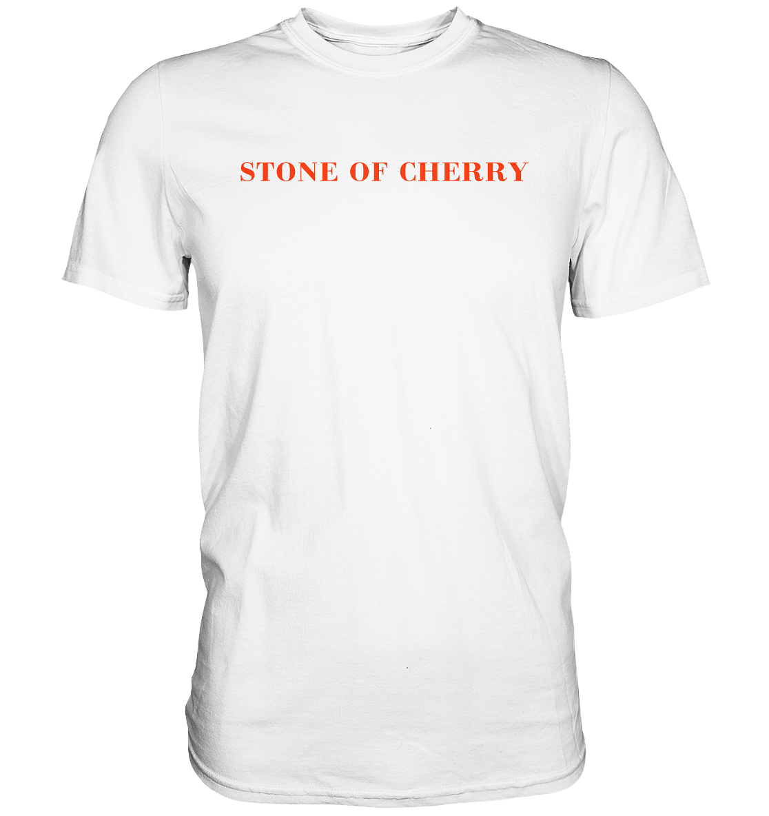 PREMIUM T-SHIRT BASIC